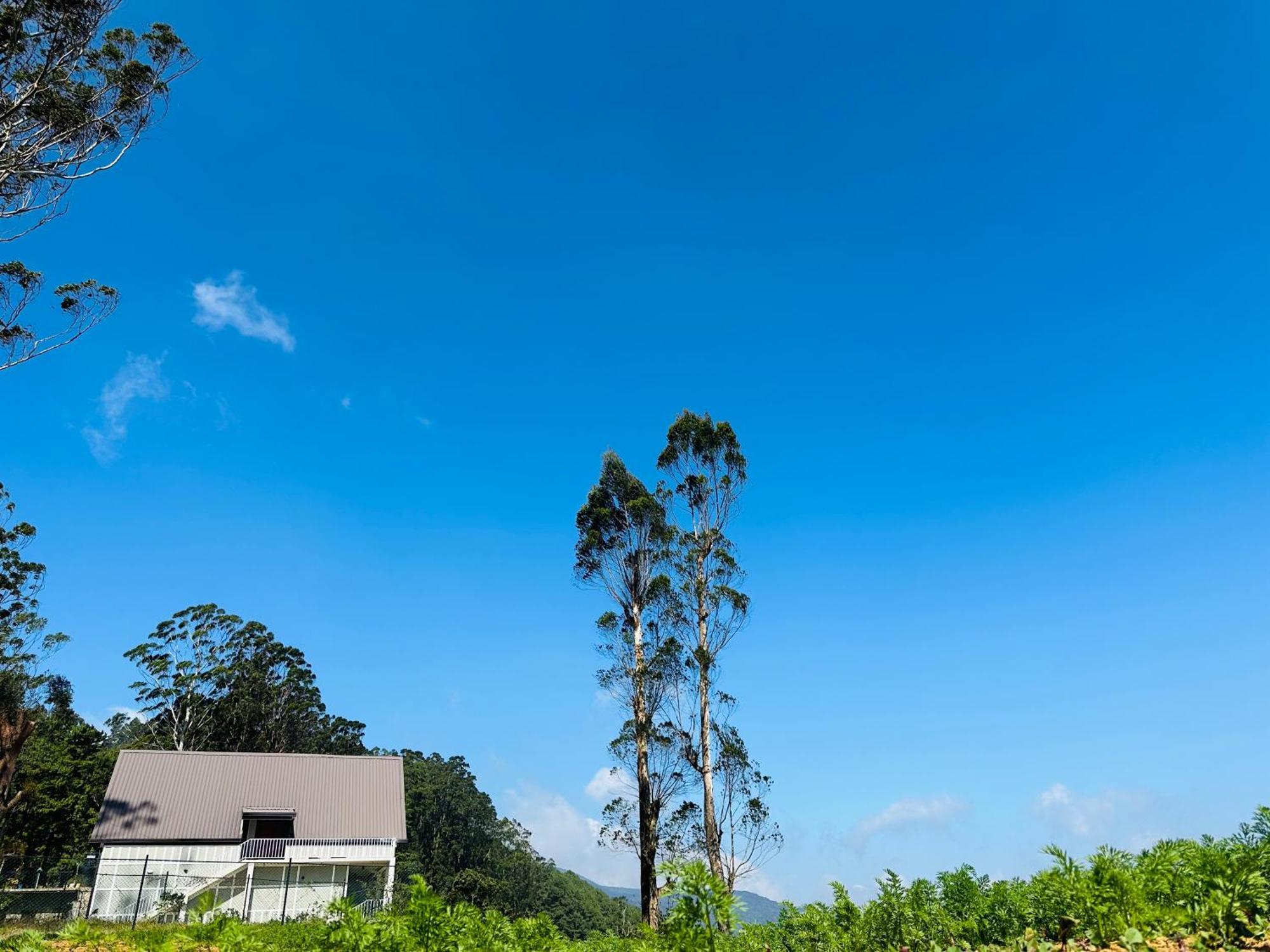 Cabin 7000 Feet Nuwaraeliya Nuwara Eliya Exterior foto
